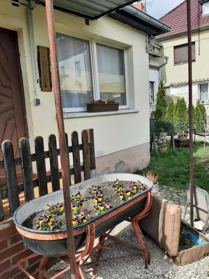 Apartment Sorgenfrei Caputh Exteriör bild