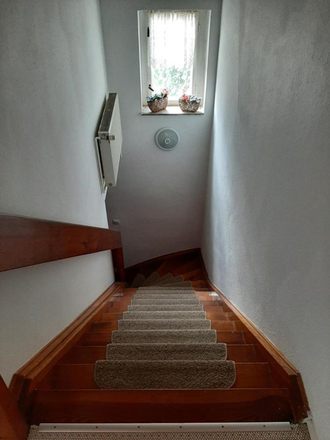 Apartment Sorgenfrei Caputh Exteriör bild